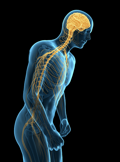 Keep Your Spine Aligned with Physical Therapy